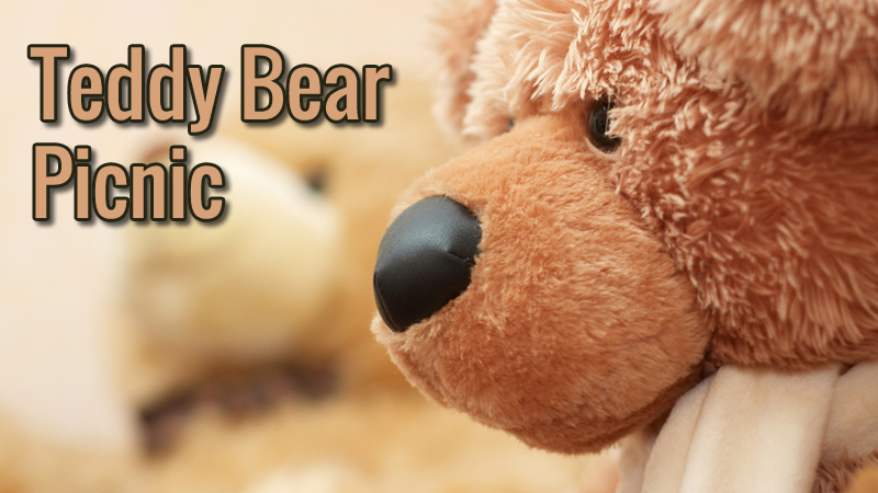 teddy day today
