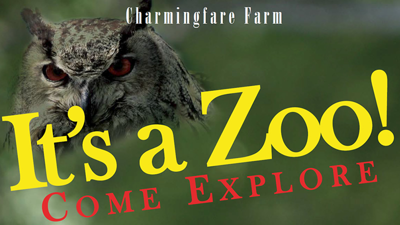 Visit Our Animals