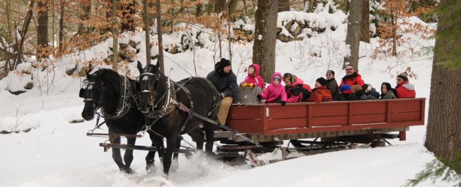 Logging Sleds