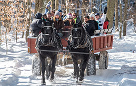 Horse Drawn Ride Wagon Ride