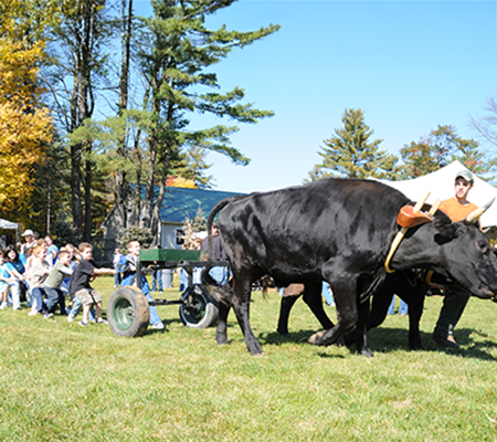 The Children's Entrepreneur