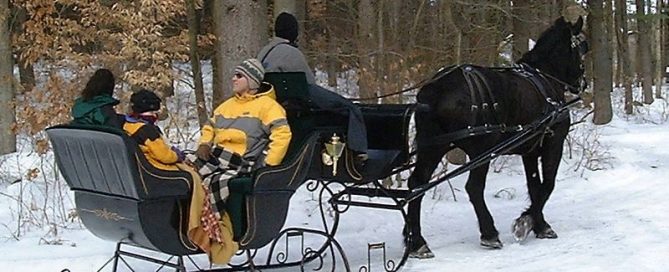 Vis-A-Vis Sleigh