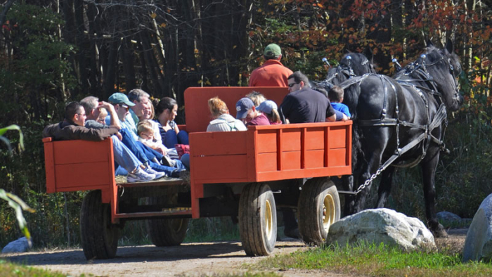Wagon Rides