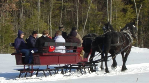 Meadowbrook Sleigh