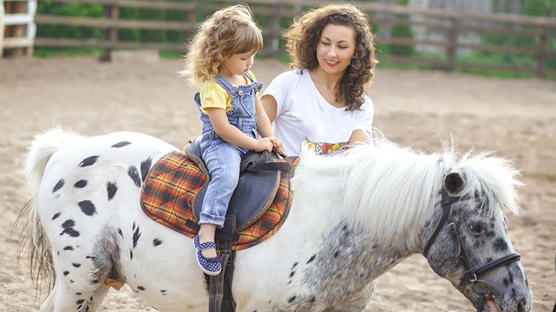 Pony Ride Pony Ride