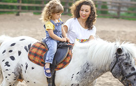 Pony Ride Pony Ride