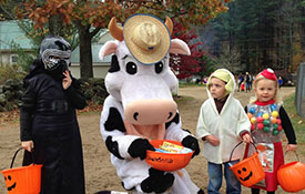 Barnyard Candy Barnyard Candy