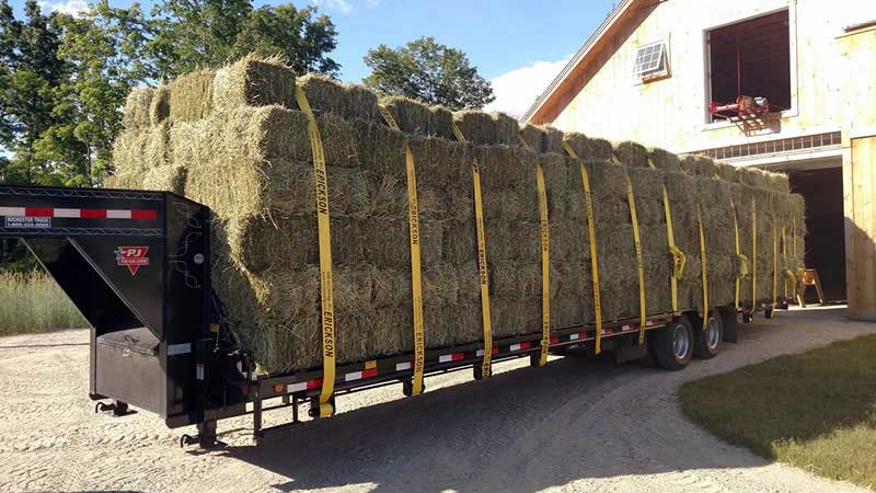 Hay For Sale