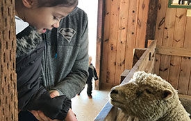 Visit Our Animal Visit the Animals