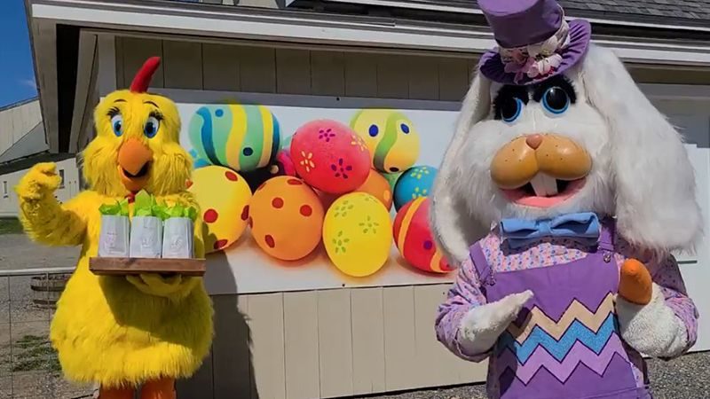 Egg-Citing Drive-Thru