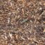 Wood Chips For Sale