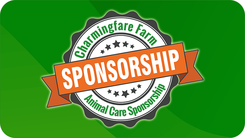 Sponsorship