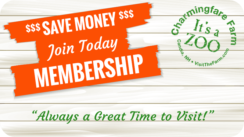 Membership