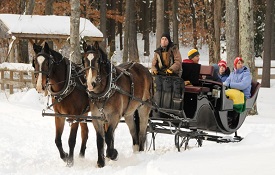 Vis-A-Vis Sleigh Vis-A-Vis Sleigh