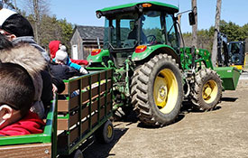 Tractor Train Ride Horse-Drawn/Tractor Train Ride