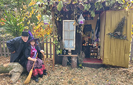 Witch in the Woods Witch in the Woods