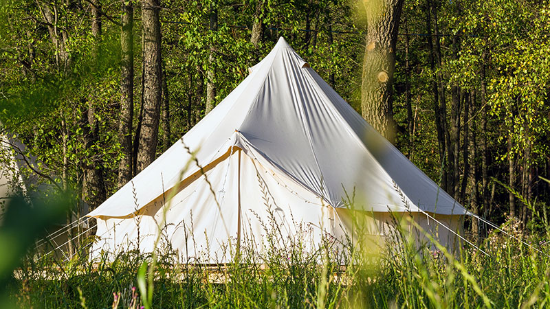 Base Camp Base Camp