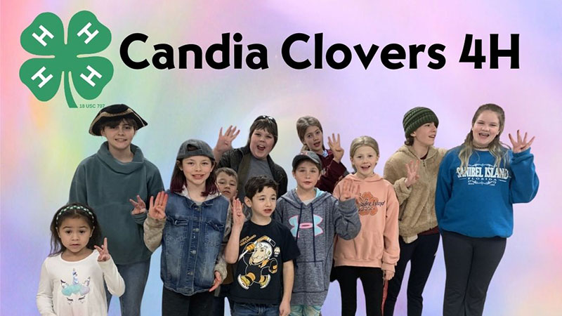 Candia Clovers