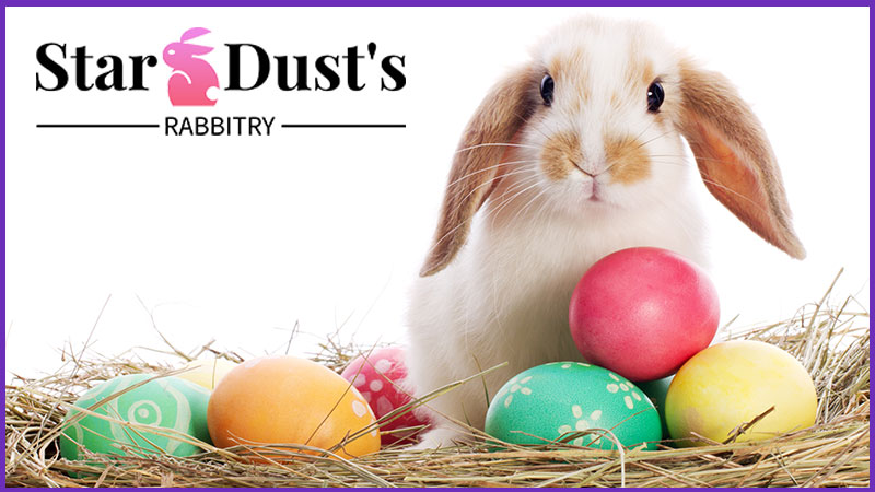 Star Dust’s Rabbitry
