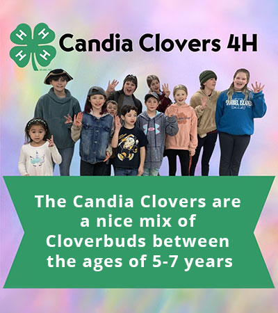 Candia Clover 4-H Star Dust’s Rabbitry