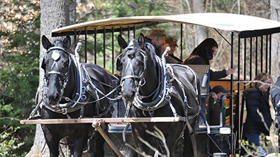 Horse-Drawn Farm Tour Horse-Drawn Farm Tours